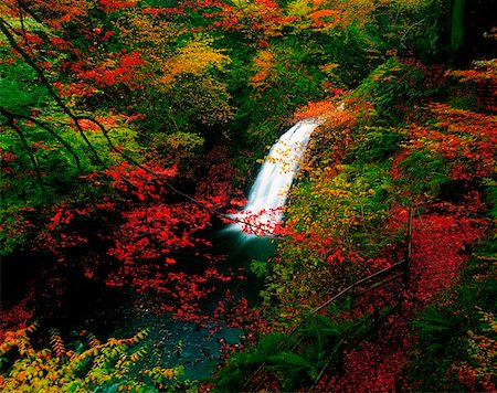 Glenoe Waterfall and Glen, Co Antrim, Ireland Stock Photo - Rights-Managed, Code: 832-02252974