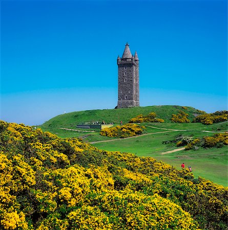 simsearch:832-02252667,k - Scrabo Tower and Country Park, Newtownards, Co Down, Ireland Stock Photo - Rights-Managed, Code: 832-02253376