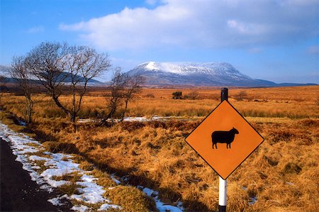 simsearch:832-02252724,k - Rural road signs, Muckish Mountain,Derryveagh Mountains, Co Donegal, Ireland Stock Photo - Rights-Managed, Code: 832-02253426
