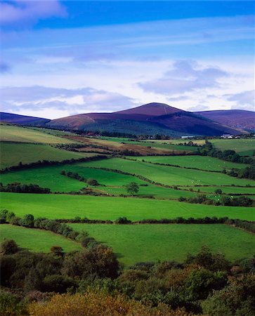 simsearch:832-03232823,k - Fields from the Sugar Loaf Mountain, Co Wicklow, Ireland Stock Photo - Rights-Managed, Code: 832-03232662
