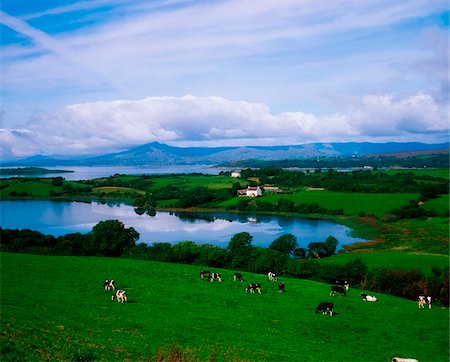 Bantry Bay, Co Cork, Ireland Foto de stock - Con derechos protegidos, Código: 832-03232674