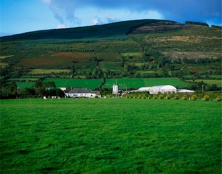 simsearch:832-03232823,k - Farmscape, With Slievenamon, Co Tipperary Stock Photo - Rights-Managed, Code: 832-03232737