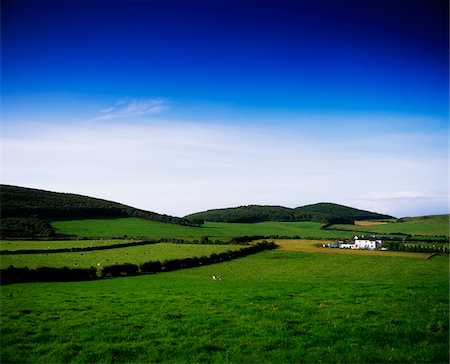 simsearch:832-03232823,k - Farmscape, Near Dunamase Castle, Co Laois Stock Photo - Rights-Managed, Code: 832-03232739