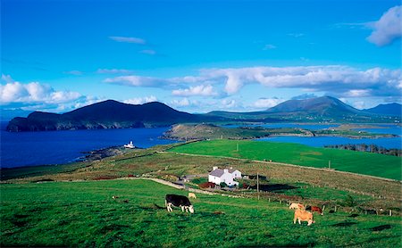 simsearch:832-03232823,k - Valentia Island Ring of Kerry, Co Kerry, Ireland Stock Photo - Rights-Managed, Code: 832-03232757