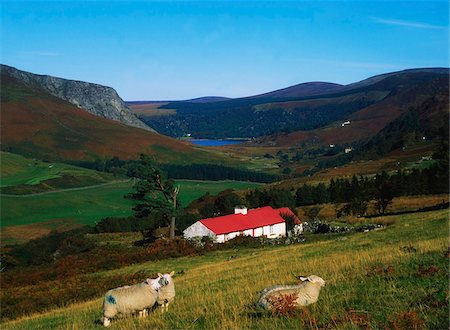 simsearch:832-03232823,k - Traditional Cottages, Near Lough Tay, Co Wicklow Stock Photo - Rights-Managed, Code: 832-03358799