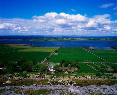 simsearch:832-03232823,k - Pastures and Coast, The Burren, Near Ennistymon, Co Clare, Ireland Stock Photo - Rights-Managed, Code: 832-03358892