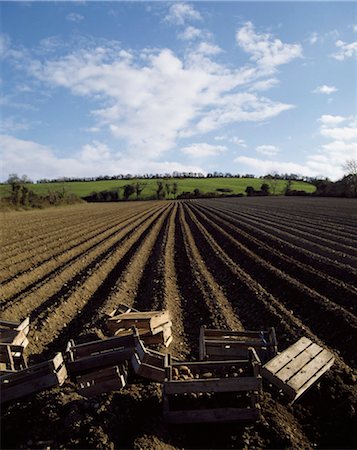 potato field - Co Meath, Ireland; Ploughed Field In Preparation For Potatoes Stock Photo - Rights-Managed, Code: 832-03639287