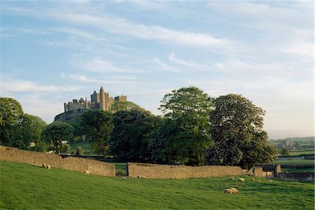 rock of cashel - Rock Of Cashel, Co Tipperary, Ireland; Medieval Historic Site Stock Photo - Rights-Managed, Code: 832-03639663