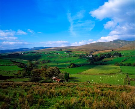 simsearch:832-03232823,k - Sperrin Mountains, Co Tyrone, Ireland Stock Photo - Rights-Managed, Code: 832-03639813