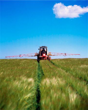 farmer in wheat field - Crop Spraying; Spraying A Field With Pesticide Foto de stock - Con derechos protegidos, Código: 832-03639890