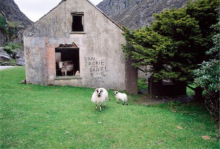 photos old barns - Co Kerry, Killarney, Gap Of Dunloe, Foto de stock - Con derechos protegidos, Código: 832-03640584