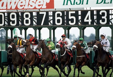 race horse - Horse Racing, Ireland Stock Photo - Rights-Managed, Code: 832-03640752