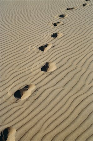 simsearch:693-06018948,k - Footprints in the sand, gros plan Photographie de stock - Rights-Managed, Code: 832-03724750