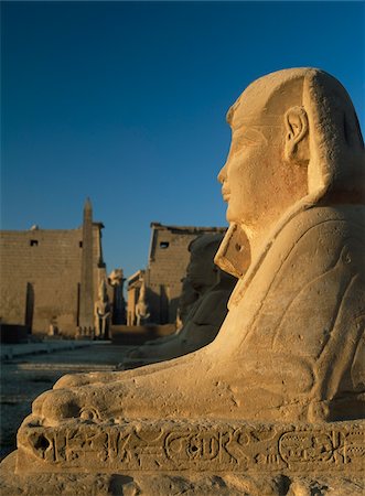 sphinx - Avenue of sphinxes Stock Photo - Rights-Managed, Code: 832-03724753