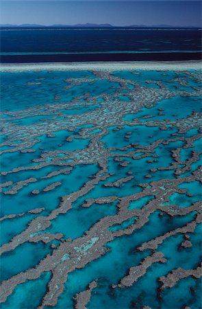 View over clear blue waters of Great Barrier Reef Stock Photo - Rights-Managed, Code: 832-03723723