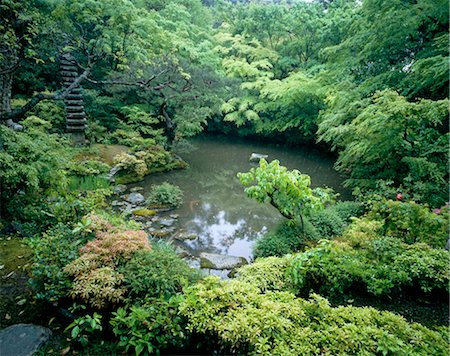 stream in garden - Oriental style garden with pond Stock Photo - Rights-Managed, Code: 845-05838918