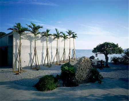 Trees planted in a row in front of wall Stock Photo - Rights-Managed, Code: 845-05838919