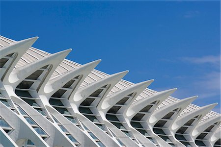 Museo de las Ciencias Principe Felipe, The City of Arts and Sciences, Valencia. Architects: Santiago Calatrava Stock Photo - Rights-Managed, Code: 845-06008125