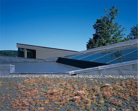 sedum - Michael S. Currier Center, Putney Center for the Performing Arts, Putney, Vermont, 2004. Architect: Charles Rose Architects Stock Photo - Rights-Managed, Code: 845-02726035