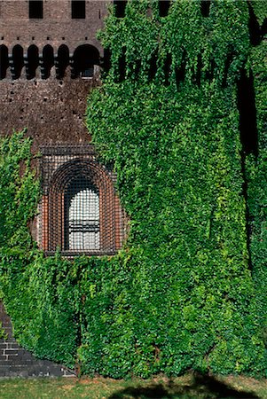 damaged - Castello Sforzesco (Sforza Castle), Milan, Italy - Detail of building overgrown with ivy. Stock Photo - Rights-Managed, Code: 845-03777711