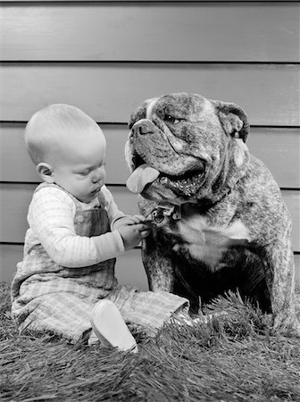 1950s - 1960s BABY SITTING PLAYING WITH BULLDOG STUDIO Stock Photo - Rights-Managed, Code: 846-05646105