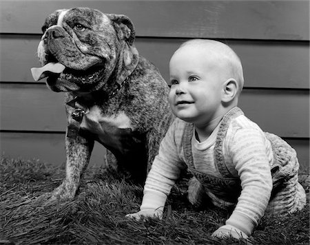 1950s - 1960s BABY ON HANDS & KNEES NEXT TO SEATED BULLDOG IN GRASS Stock Photo - Rights-Managed, Code: 846-05646106