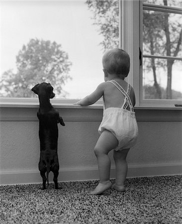 1950s - 1960s BABY STANDING AT WINDOWSILL WITH DACHSHUND STANDING ON HIND LEGS BESIDE HIM Stock Photo - Rights-Managed, Code: 846-05646294