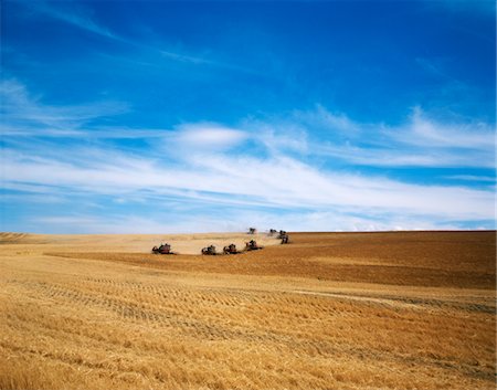 simsearch:846-03164224,k - 1970s LINE OF HARVESTING FARM MACHINES IN WHEAT FIELD Stock Photo - Rights-Managed, Code: 846-05646861