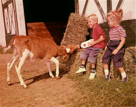 farm nostalgia - 1950s - 1960s CHILDREN BOY AND GIRL FEEDING CALF BOTTLE MILK OUTSIDE BARN Stock Photo - Rights-Managed, Code: 846-05646892
