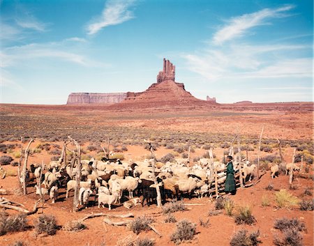 enclos - ANNÉES 1960 NAVAJO FEMME BERGER MOUTONS DANS CORRAL UTAH MONUMENT VALLEY Photographie de stock - Rights-Managed, Code: 846-05647327