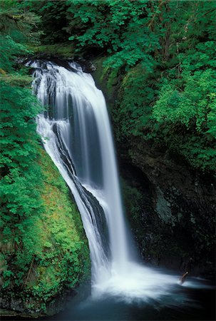 simsearch:846-05646687,k - BUTTE CREEK FALLS SANTIAM STATE FOREST OREGON Stock Photo - Rights-Managed, Code: 846-05647565