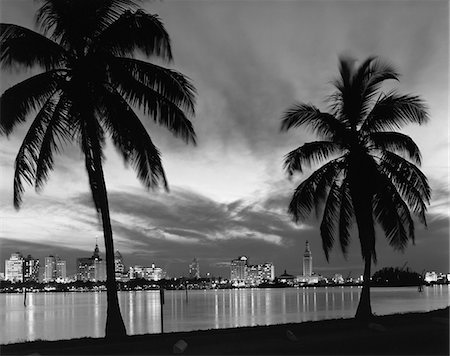 simsearch:846-02797719,k - 1950s NIGHT SKYLINE VIEW MIAMI ACROSS THE BAY TWO PALM TREES SILHOUETTED FOREGROUND Stock Photo - Rights-Managed, Code: 846-05648097