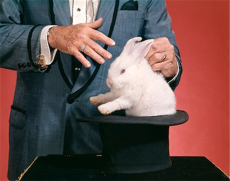 simsearch:846-05645665,k - 1970s MAN MAGICIAN PULLING WHITE RABBIT OUT OF TOP HAT Stock Photo - Rights-Managed, Code: 846-09013031