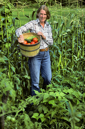 simsearch:846-03164221,k - 1980s WOMAN HOME GARDENER WITH BASKET OF TOMATOES LOOKING AT CAMERA Stock Photo - Rights-Managed, Code: 846-09181758