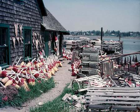 1950s SHINGLED LOBSTER SHACK BUILDING WITH COLORFUL BUOYS & TRAPS COMMERCIAL FISHING INDUSTRY MT. DESERT ISLE BERNARD ME USA Foto de stock - Con derechos protegidos, Código: 846-09181852