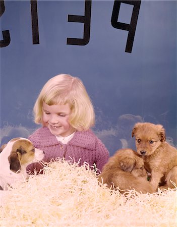 1950s LITTLE GIRL LOOKING IN PET SHOP WINDOW AT PUPPIES FOR SALE HAPPY ADOPT HOPEFUL RESCUE PET DOGGIE PUPPY Stock Photo - Rights-Managed, Code: 846-02794153