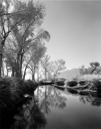 1940s 1950s 1960s PEACEFUL STREAM BANKS LINED WITH TREES BUSHES GRASSES REFLECTION OF TREES IN WATER Stock Photo - Rights-Managed, Code: 846-02795382