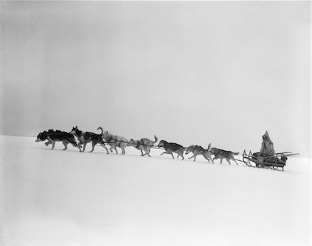 simsearch:846-02796436,k - 1920s 1930s DOG LEADING IN WINTER SLED DOGS USING HARNESSES TO PULL RIDER THROUGH TREACHEROUS CONDITIONS Stock Photo - Rights-Managed, Code: 846-02797763