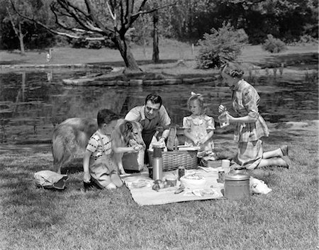 simsearch:846-02793155,k - 1950s FAMILY PICNICKING IN PARK WITH COLLIE Stock Photo - Rights-Managed, Code: 846-02792260