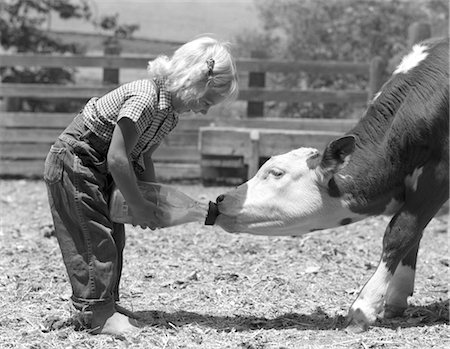 1950s LITTLE GIRL FEEDING CALF BOTTLE MILK Stock Photo - Rights-Managed, Code: 846-02792263