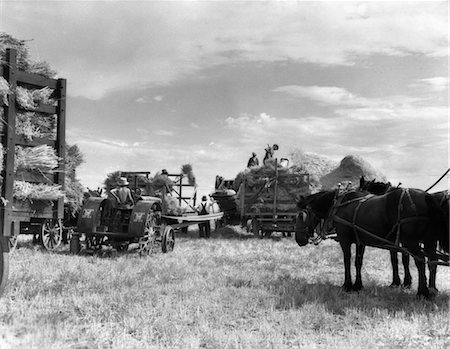 simsearch:846-02795969,k - 1940s HARVEST OATS LAUREL MONTANA HORSES WAGONS FARM HANDS WORKERS MACHINERY REAP REAPING GRAIN HAY STRAW FARMERS MEN CROP Stock Photo - Rights-Managed, Code: 846-02792920