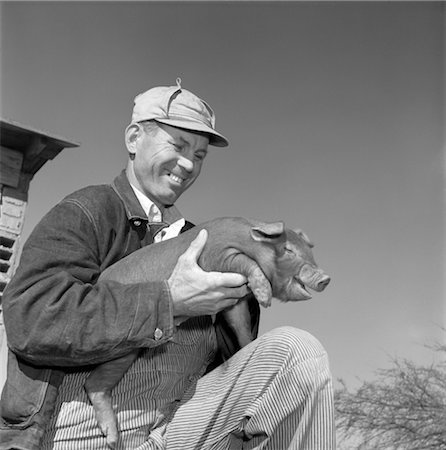 FARMER MAN HOLDING DUROC PIG PIGLET ON HIS KNEES WEARING HAT WORK JACKET DENIM STRIPED OVERALLS FARM PORK Stock Photo - Rights-Managed, Code: 846-02793324