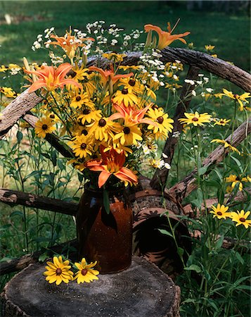 SUMMER WILDFLOWER BOUQUET OUTDOORS ON TREE STUMP BY WAGON WHEEL Stock Photo - Rights-Managed, Code: 846-03164243