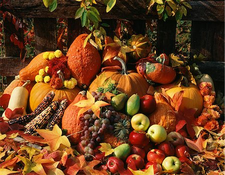 pumpkin fruit and his leafs - STILL LIFE OF AUTUMN HARVEST FRUITS AND VEGETABLES Stock Photo - Rights-Managed, Code: 846-03164665