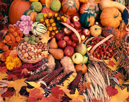 STILL LIFE OF AUTUMN HARVEST FRUITS AND VEGETABLES Stock Photo - Rights-Managed, Code: 846-03164666