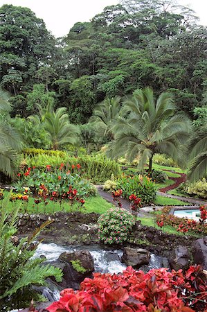 BASE OF ARENAL VOLCANO COSTA RICA Stock Photo - Rights-Managed, Code: 846-03165284