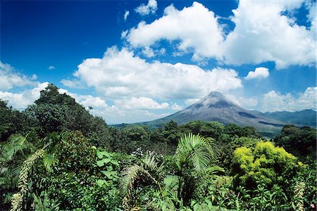 TROPICAL VEGETATION WITH ARENAL VOLCANO COSTA RICA Stock Photo - Rights-Managed, Code: 846-03165360