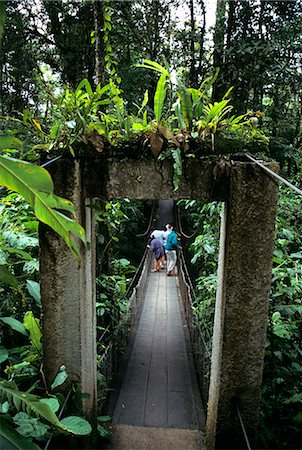 TOURISTS ON FOOTBRIDGE IN RAINFOREST COSTA RICA Stock Photo - Rights-Managed, Code: 846-03165362