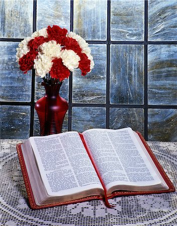 simsearch:846-03165636,k - RED AND WHITE CARNATIONS IN RED VASE WITH BIBLE ON TABLE OPEN TO THE BOOK OF ECCLESIASTES Stock Photo - Rights-Managed, Code: 846-03165608