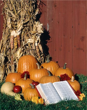 simsearch:846-03165636,k - DRIED CORN SHOCK STACKED AGAINST RED BARN WITH HARVEST PUMPKINS AND AN OPEN BIBLE Stock Photo - Rights-Managed, Code: 846-03165642